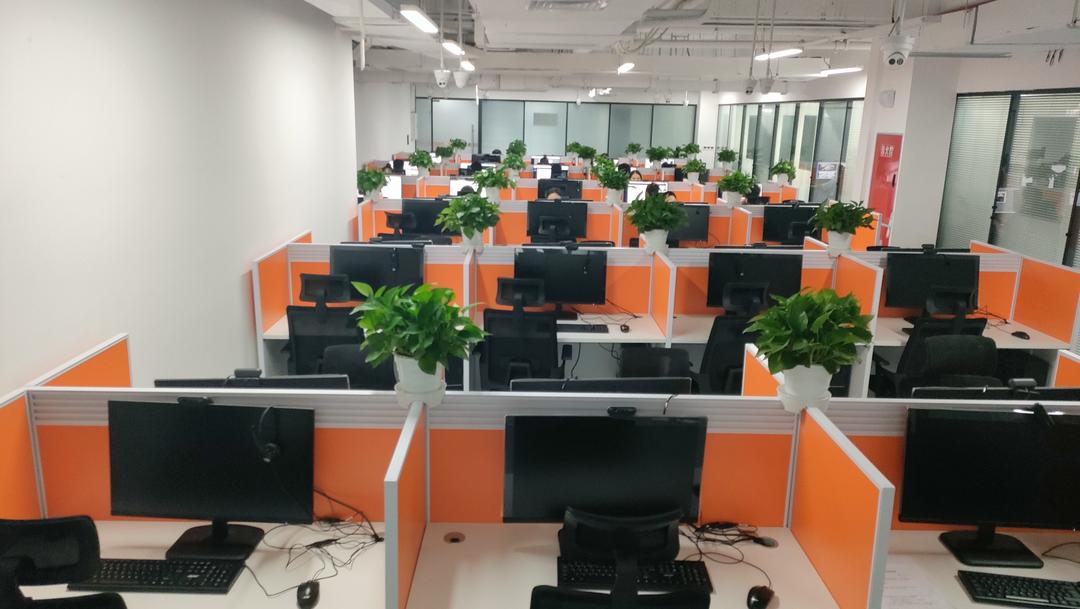 海外华媒视角 内江软件与信息技术服务外包产业园的崛起与机遇