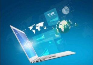 IT中的软件技术服务 职业概述与职责